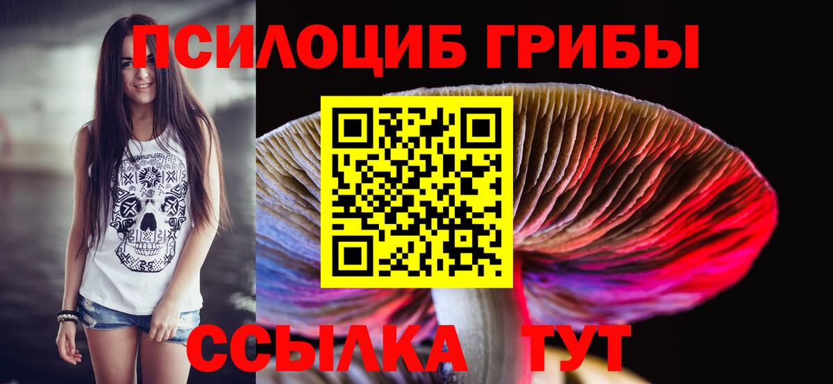Галлюциногенные грибы GOLDEN TEACHER Батайск
